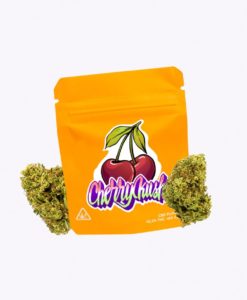 CHERRY KUSH CBD